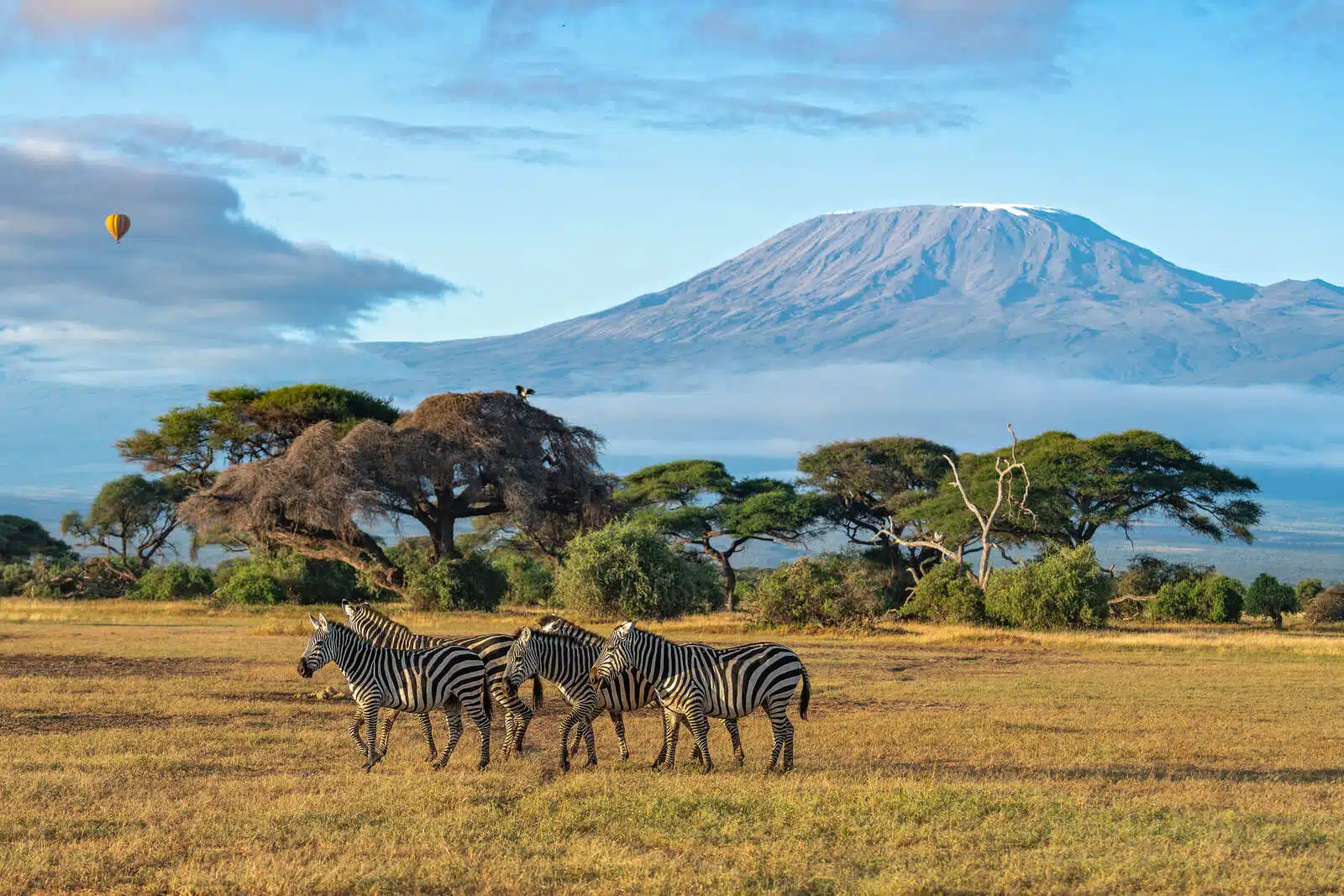 VisitMasaiMara.com